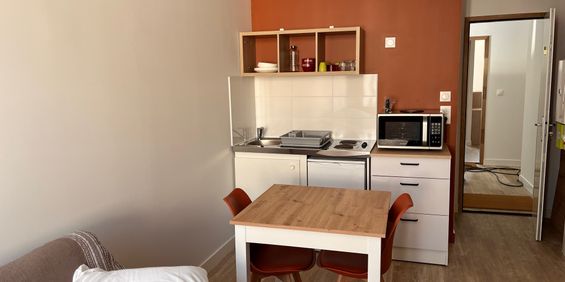Location Appartement 1 pièce 18m² RUELLE SUR TOUVRE 16600 - Photo 3