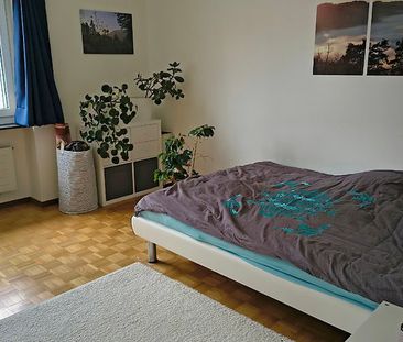 3.5 Zimmer, 60 m², 2. Stock - Foto 3