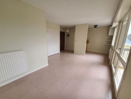 Location Appartement 1 pièce 28m² ANGERS 49000 - Photo 2