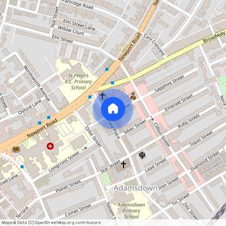 Gold Street, Adamsdown