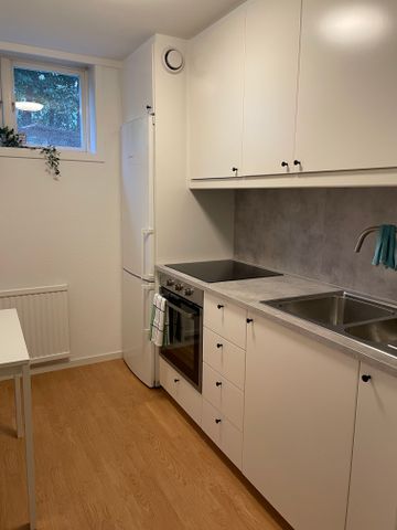 Rapphönsvägen, Uppsala - Photo 2
