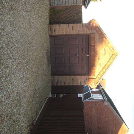 Tulip Fields, Spalding, Whaplode - Photo 3