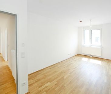 DER BALLON - Ankommen und abheben - NATURNAHES WOHNEN NAHE DER SEES... - Photo 4