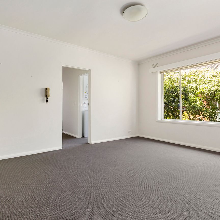 6/31 Osborne Avenue, Glen Iris VIC 3146 - Apartment For Rent | Domain - Photo 1