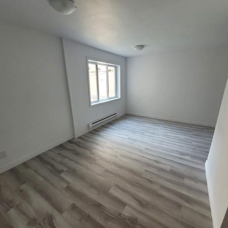 1 CH - 1 SDB - Montréal - $1,000 /mo - Photo 3