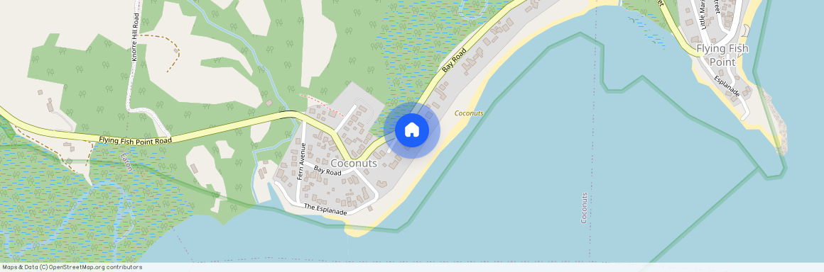 46 Bay Road, Qld 4860, Coconuts