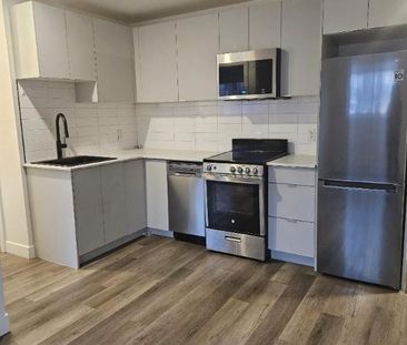 1 CH - 1 SDB - Montréal - $1,345 /mo - Photo 3
