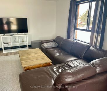 For Lease - 250 Hurontario Street Unit# 2, Collingwood, Ontario - Photo 1