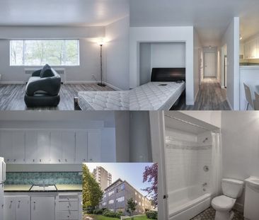 1540 Haro Street apartment — Vancouver, BC (0-Bedroom) - 0 Bedroom - Photo 3