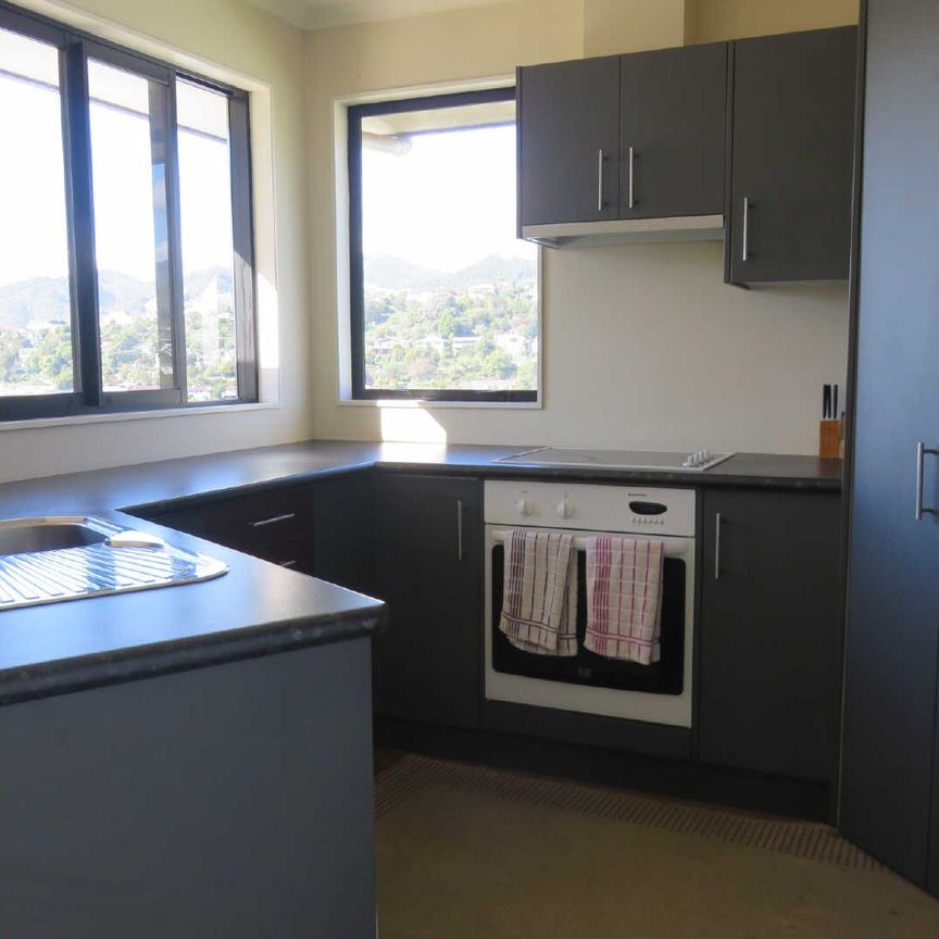 20 St Lawrence St, Toi Toi, Nelson - Photo 1