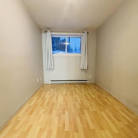 Appartement 3 ½ à louer Lévis février 2026 - Photo 4