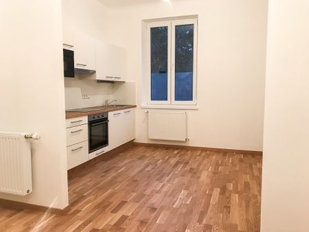 UNBEFRISTET: 2-Zimmer Altbau-Wohnung im Erdgeschoß in 1190 Wien zu mieten - Photo 4