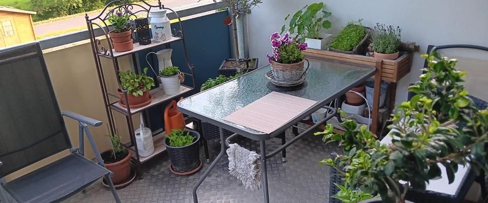 Super sonnige Zweiraumwohnung - Foto 1