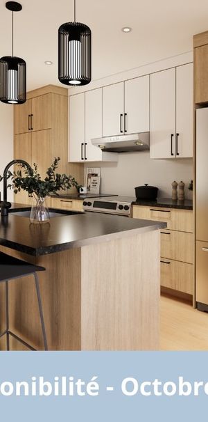 3 1/2 Neuf - Octobre 2026 - Photo 1