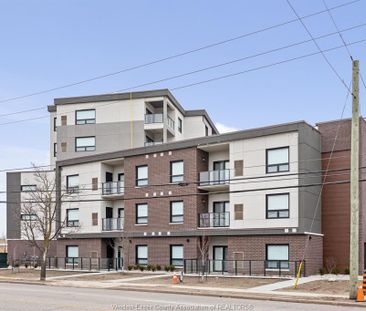 For Lease - 11870 TECUMSEH Road Unit# 110, Tecumseh, Ontario - Photo 4
