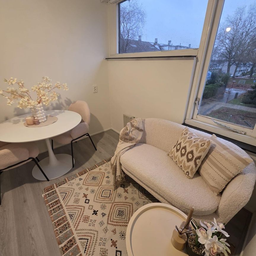 Landauerdrift 3436XG Nieuwegein - Foto 1