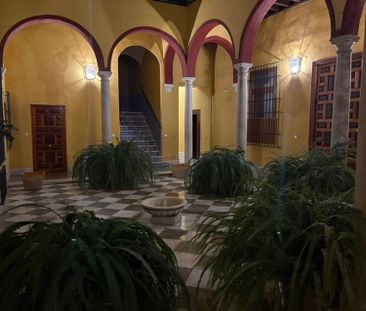 Alquiler de dúplex en Pz Cristo De Burgos - Photo 6