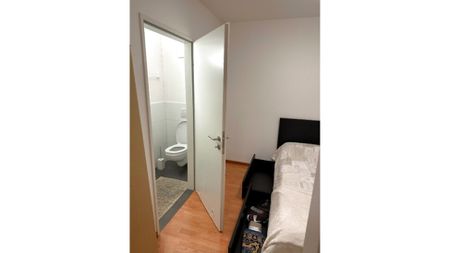 2½ Zimmer-Wohnung in Zürich, möbliert, auf Zeit - Photo 4