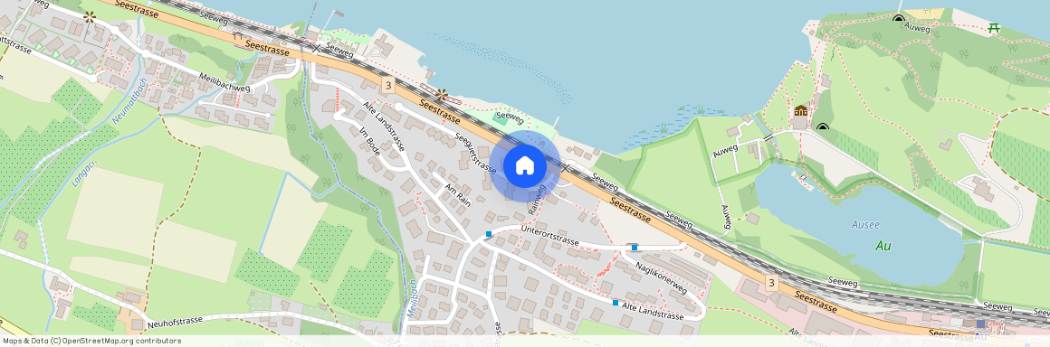 Seeguetstrasse 4, 8804, Au-Wädenswil