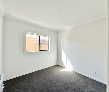 Brand New Comfort & Style in Charlemont - Photo 3