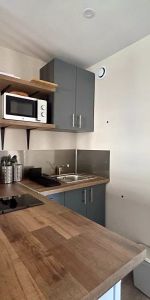 Appartement Palaiseau 1 pièce(s) 18.56 m2 - Photo 3