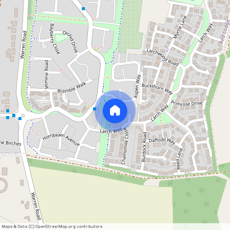 Tiger Flower Way, Bury St. Edmunds