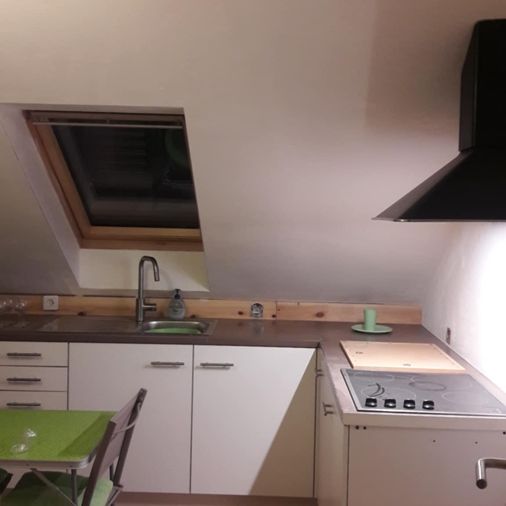 Volledige zolderverdieping met douche en keuken - Photo 1