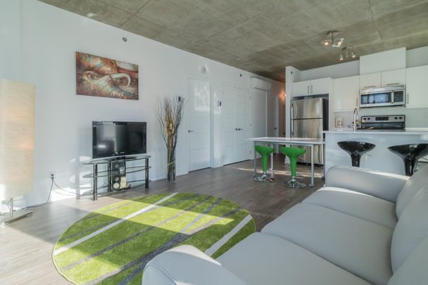 Condo for rent, Montréal (Le Sud-Ouest) - Photo 1