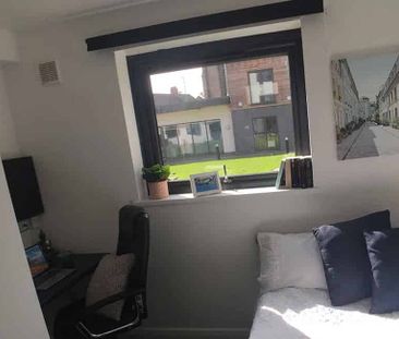 Ensuite Room (Gold-A) - Photo 5