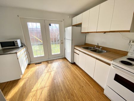 For Lease - 43 Walter Avenue Unit# lower back unit, Newmarket, Ontario - Photo 4