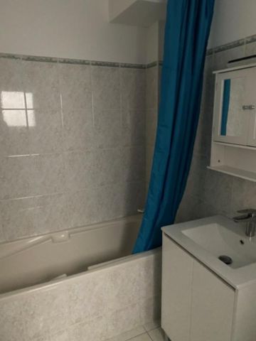 STUDIO RENOVE SUR L'ILE SAINT LAURENT - Photo 3