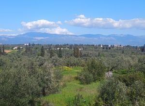 Διαμέρισμα για ενοικίαση - Ανθηδώνος, - Photo 3