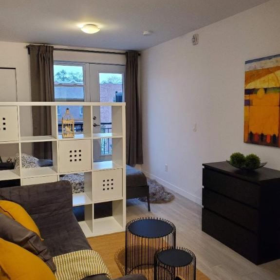Studio - Montréal - $1,145 /mo - Photo 1