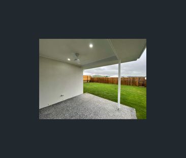 41 Olearia St, Morayfield, Qld 4506 - Photo 6