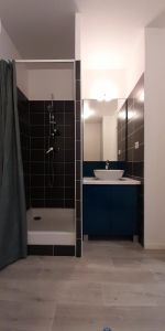 Location Appartement 1 pièce 20m² CALUIRE ET CUIRE 69300 - Photo 3