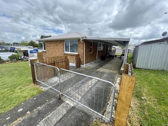 Fully renovated and insulated 4 bedroom house - Photo 1