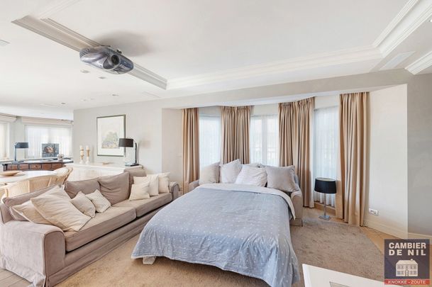 Ruim hoekappartment met terrassen, op enkele passen van het Albertplein - Foto 1