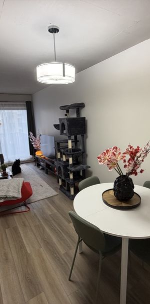 Appartement à Louer - Grand 4 Et Demi - Photo 1