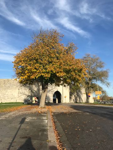 Sören Norrbysgatan, Visby - Photo 2