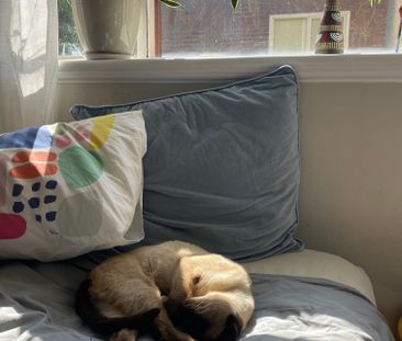 South Yarra - Photo 6