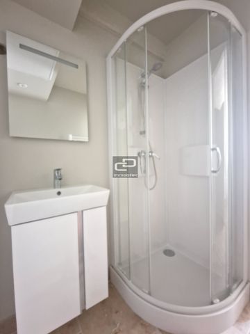 Location Appartement 1 pièce 13m² COUZON AU MONT D OR 69270 - Photo 4