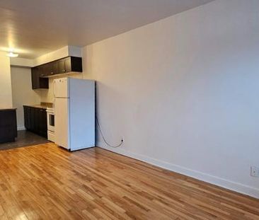 1 CH - 1 SDB - Montréal - $1,000 /mo - Photo 1