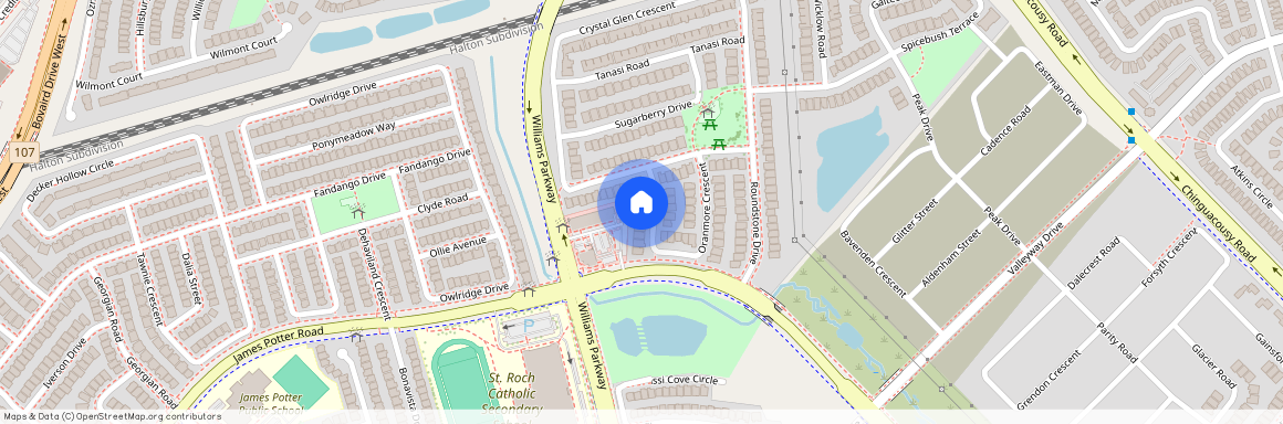 54 Oranmore Crescent Unit# Bsmt, Brampton