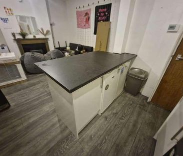 Harold Place, Leeds, LS6 - Photo 4