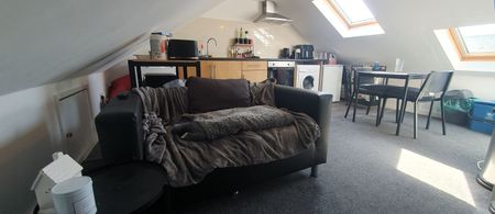 Flat 4, 18 Flora street, Cathays, Cardiff, CF24 4EP - Photo 3