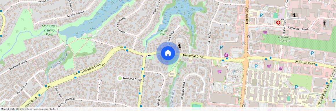 133 Universal Drive, Henderson, Waitakere City