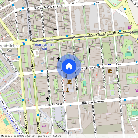 Matosinhos e Leça da Palmeira, Matosinhos