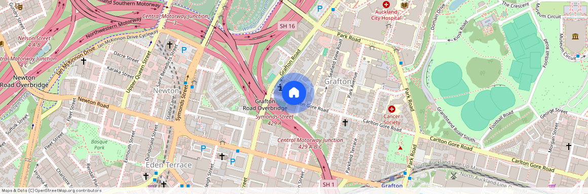 6B Carlton Gore Road, Grafton, Auckland City