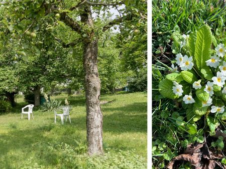 Architecture & Nature - petite maison en duplex élégante dans un immeuble ancien rénové avec amour - Foto 5
