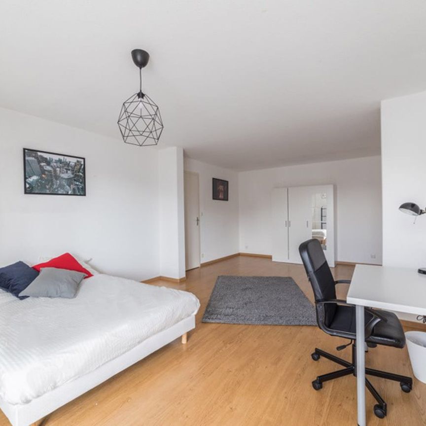 Strasbourg - Bartholdi - Chambre 1 - Photo 1